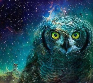 cosmic owl