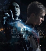 Harry-Potter-and-Lord-Voldemort-harry-potter-and-lord-voldemort-7529984-1024-768