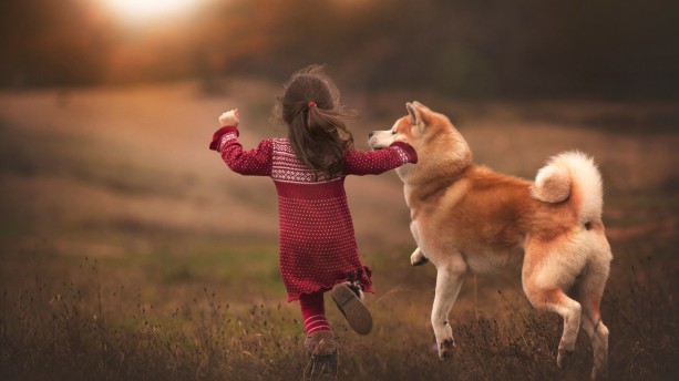 Child-Girl-Fun-with-Pet-Dogs